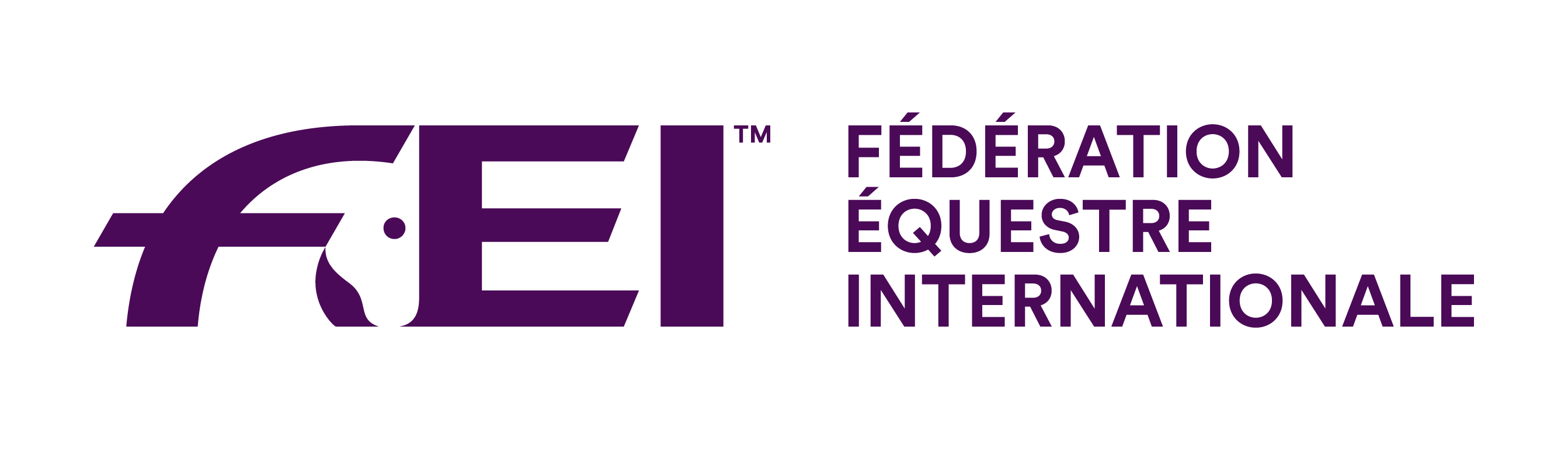 FEI logo