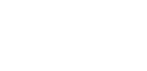Tidal logo